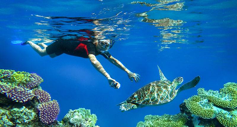 snorkeling